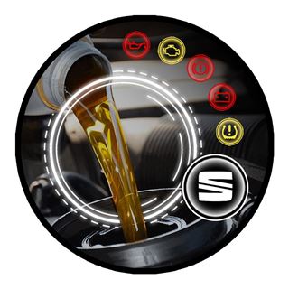 Imagen de Service Seat Ibiza 70.000 km