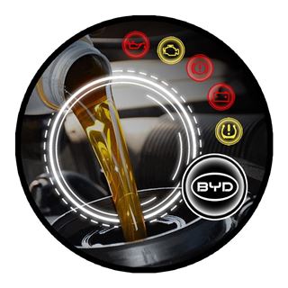 Imagen de Service BYD Song 10.000 kM